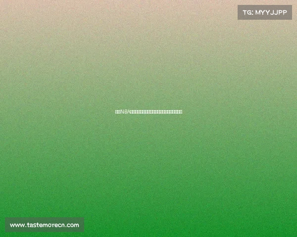 探索NBA球迷之旅全球行程篮球迷必去的城市与场馆推荐